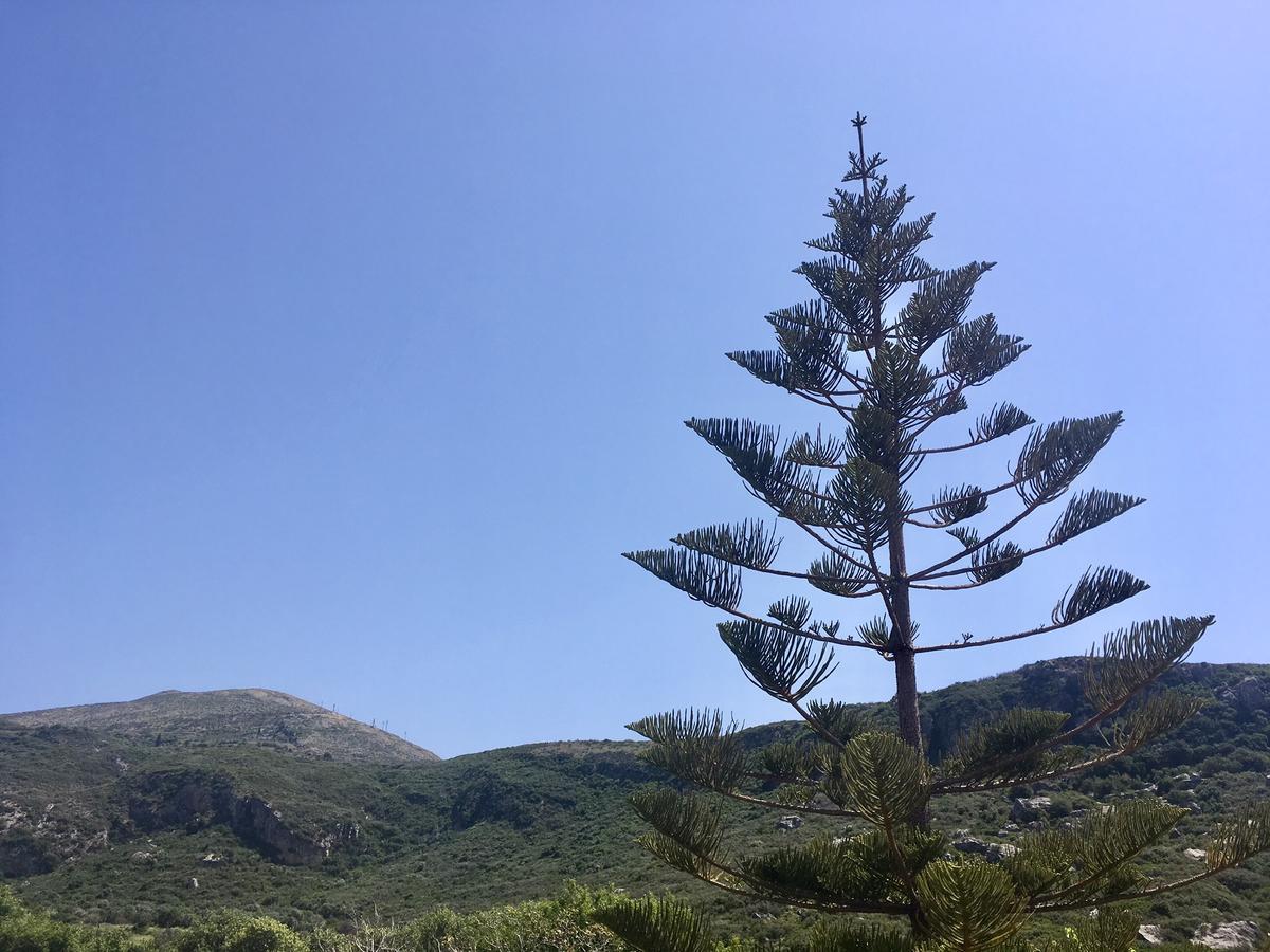 Alegria Kefalonia Кателиос Экстерьер фото